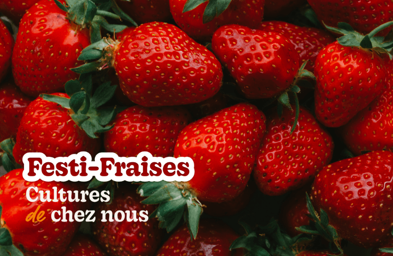 Festi-fraises Culture de chez nous